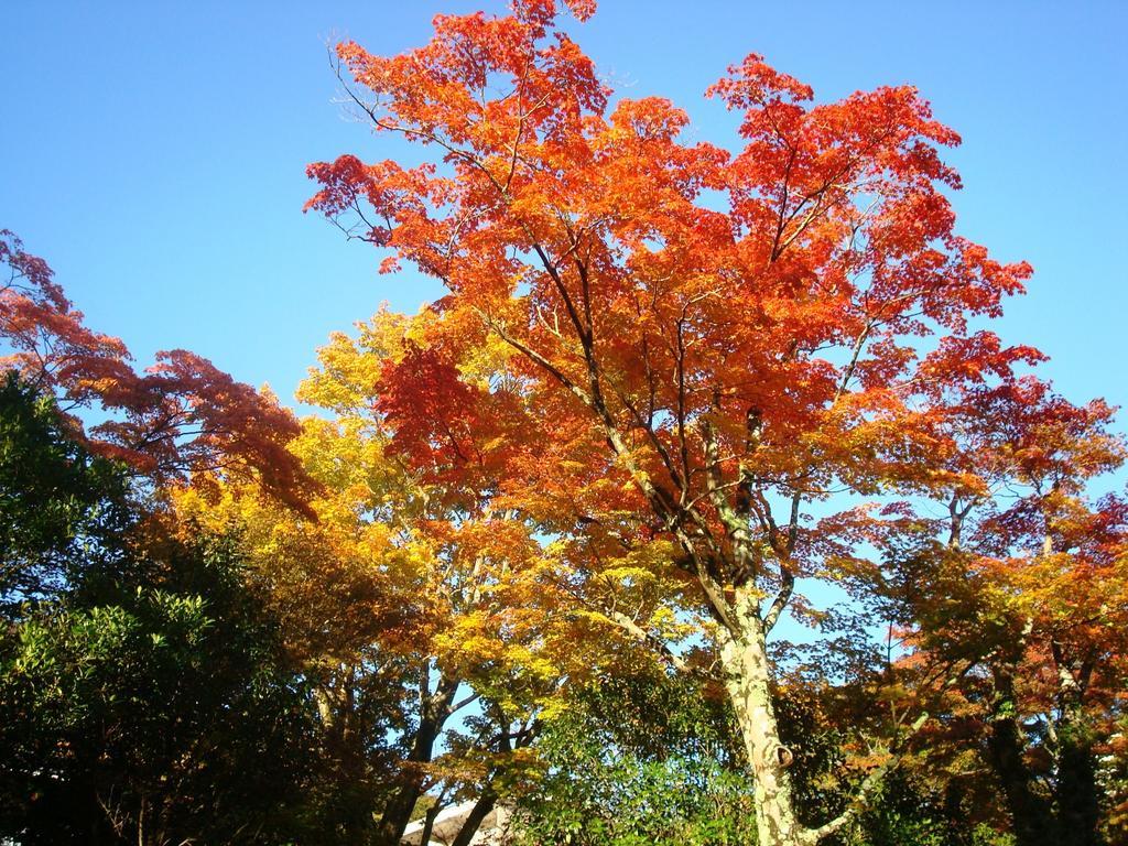 Gora Saryo Hotell Hakone Exteriör bild