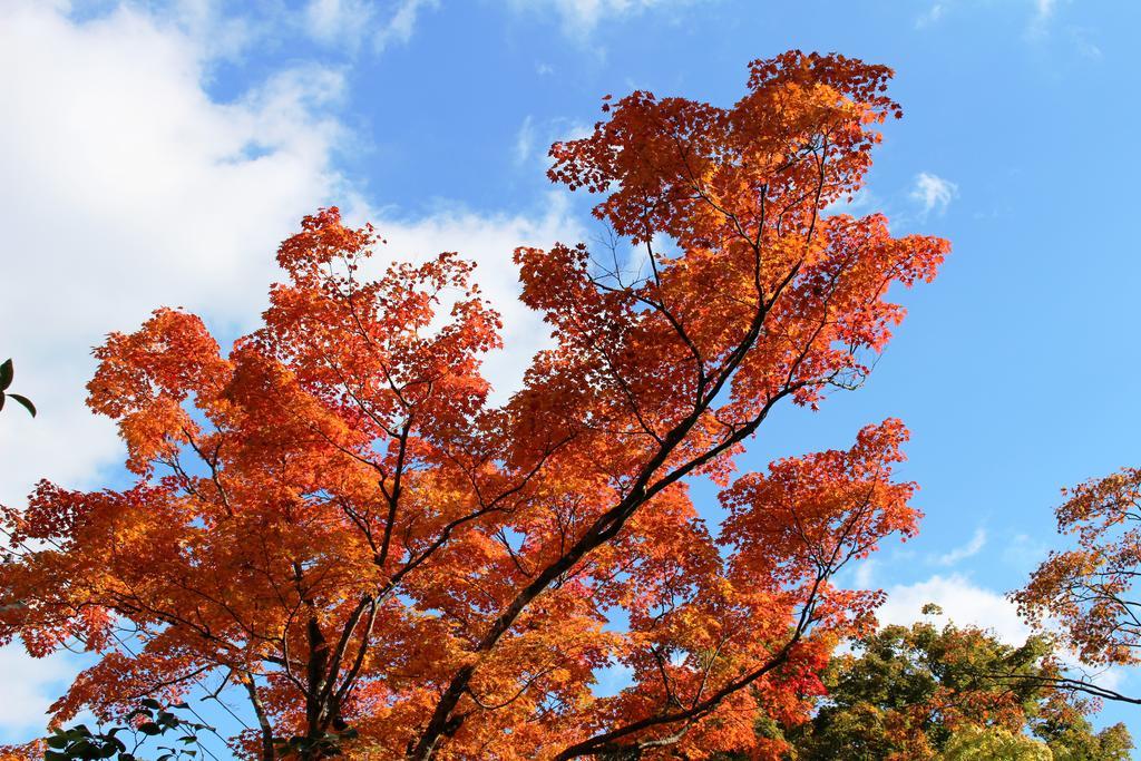 Gora Saryo Hotell Hakone Exteriör bild